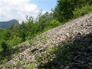 Suť pod Danielovou skalou 2