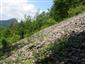 Nespevnené karbonátové skalné sutiny montánneho až kolinného stupňa (30.6.2014)