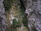 Karbonátové skalné steny a svahy so štrbinovou vegetáciou (29.5.2014)