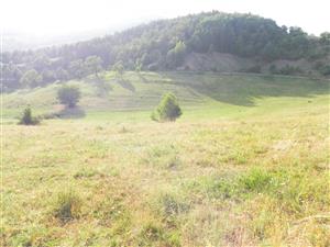 Habitat druhu z predošlých rokov 2005-2011