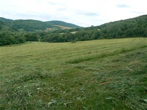 Pohled na cílový biotop a okolní krajinu ve směru SZ od zadaných souřadnic