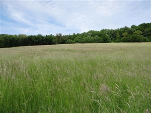 Phľad na TML_6510_118 