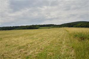 lokalita, časť z nej už pokosená