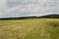 Nížinné a podhorské kosné lúky (30.6.2015)