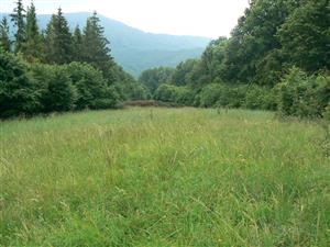 Pohled na cílový biotop a okolní krajinu ve směru JV od zadaných souřadnic