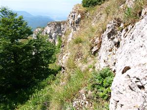 Pohľad na lokalitu - vrcholové skalné bralo z bočného chodníka oficiálne neprístupného pre verejnosť (turisti sa tu však pohybujú).