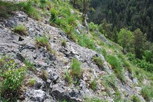 TML_020_Ihrík_2014