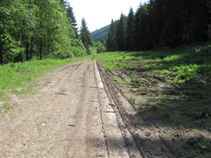 Pohľad na TML