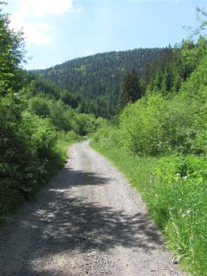 Pohľad na TML