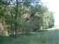 plocháč červený (30.5.2014)