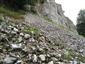 Nespevnené karbonátové skalné sutiny montánneho až kolinného stupňa (21.8.2013)