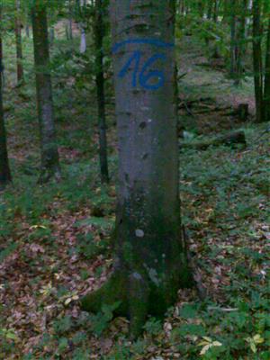 TMP_16