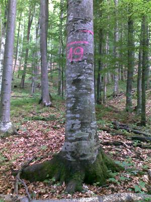 TMP_19