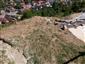 jašterica múrová (22.8.2026)