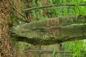 TMP_5