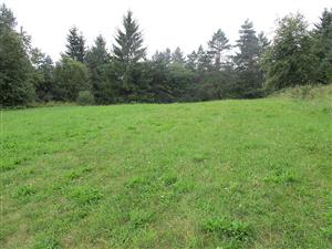 Pohľad na hornú časť lokality