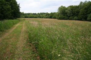 záber na biotop, smer S