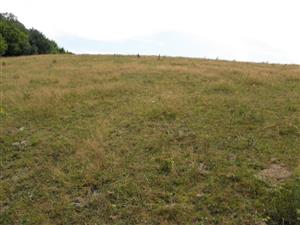 pohlad na lokalitu od severu