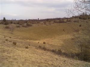 Bezvody