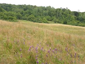 pohlad na celu lokalitu od juhu