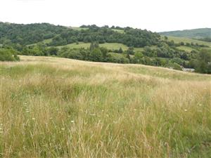 pohlad z vrchola lokality na Niznu Jablonku