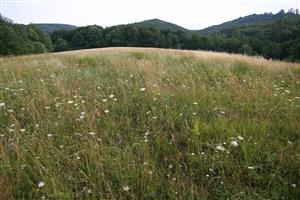 záber na biotop, smer S