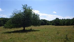 TMP Kečovské lúky