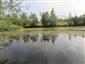 Prirodzené eutrofné a mezotrofné stojaté vody s vegetáciou plávajúcich a/alebo ponorených cievnatých rastlín typu Magnopotamion alebo Hydrocharition (24.6.2015)