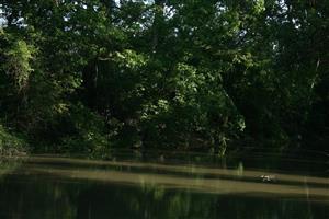 Fotografia zachytáva TML.