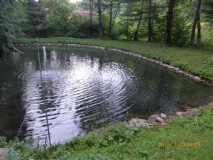 Odchytova lokalita