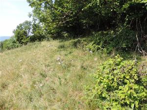 TMP2_StenEura_005
