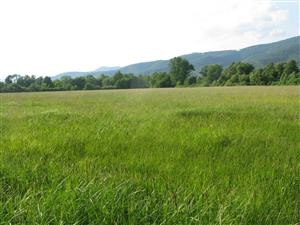 záber na TML s komplexom biotopov