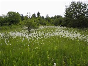 celkovy pohlad na lokalitu od zapadu