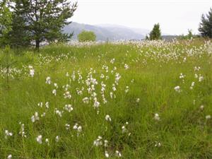 celkovy pohlad na lokalitu od juhu