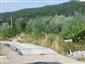 užovka stromová (19.7.2015)