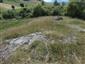 jašterica bystrá (5.7.2015)