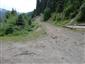 jašterica bystrá (19.7.2015)