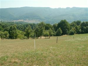 pohľad na TML_ColiMyrm_007 Nová Bošáca - Grúň 4. augusta 2015 
