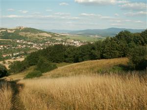 pohľad na TML_ColiMyrm_010 Moravské Lieskové 31. júla 2015