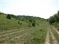 hnedáčik osikový (6.7.2015)