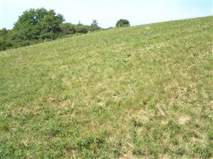 Pohľad na plochu TML