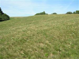 Pohľad na plochu TML