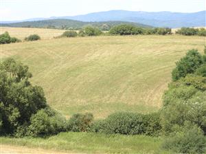 Pohľad na plochu TML z protiľahlého svahu