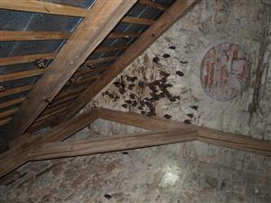 kolónia Mmyo podkrovie kostola