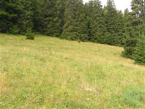 pohľad na časť nad cestou