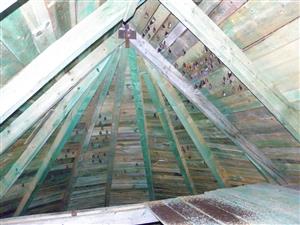 Kolónia R. hipposideros