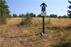 TMP2_TMLSteneura_003