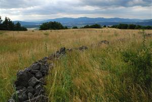 Porast je zanedbaný, nekosený s historickými artefaktami hospodárenia - kamenný múrik