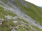 Karbonátové skalné sutiny alpínskeho až montánneho stupňa (19.8.2015)