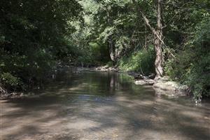 úsek toku s kalnou vodou a brehmi zarastenými krovím